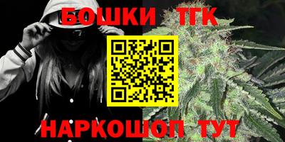 spice Камышлов