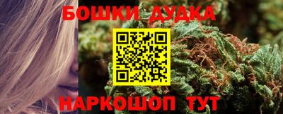 МДПВ Канаш