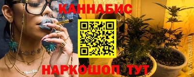 spice Камышлов