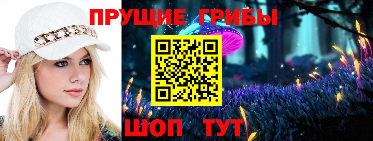 Псилоцибиновые грибы мицелий Избербаш